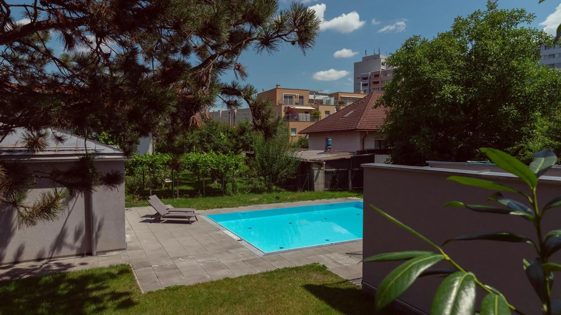 Modern Stylish Design Apartment With Free Parking Emily Viyana