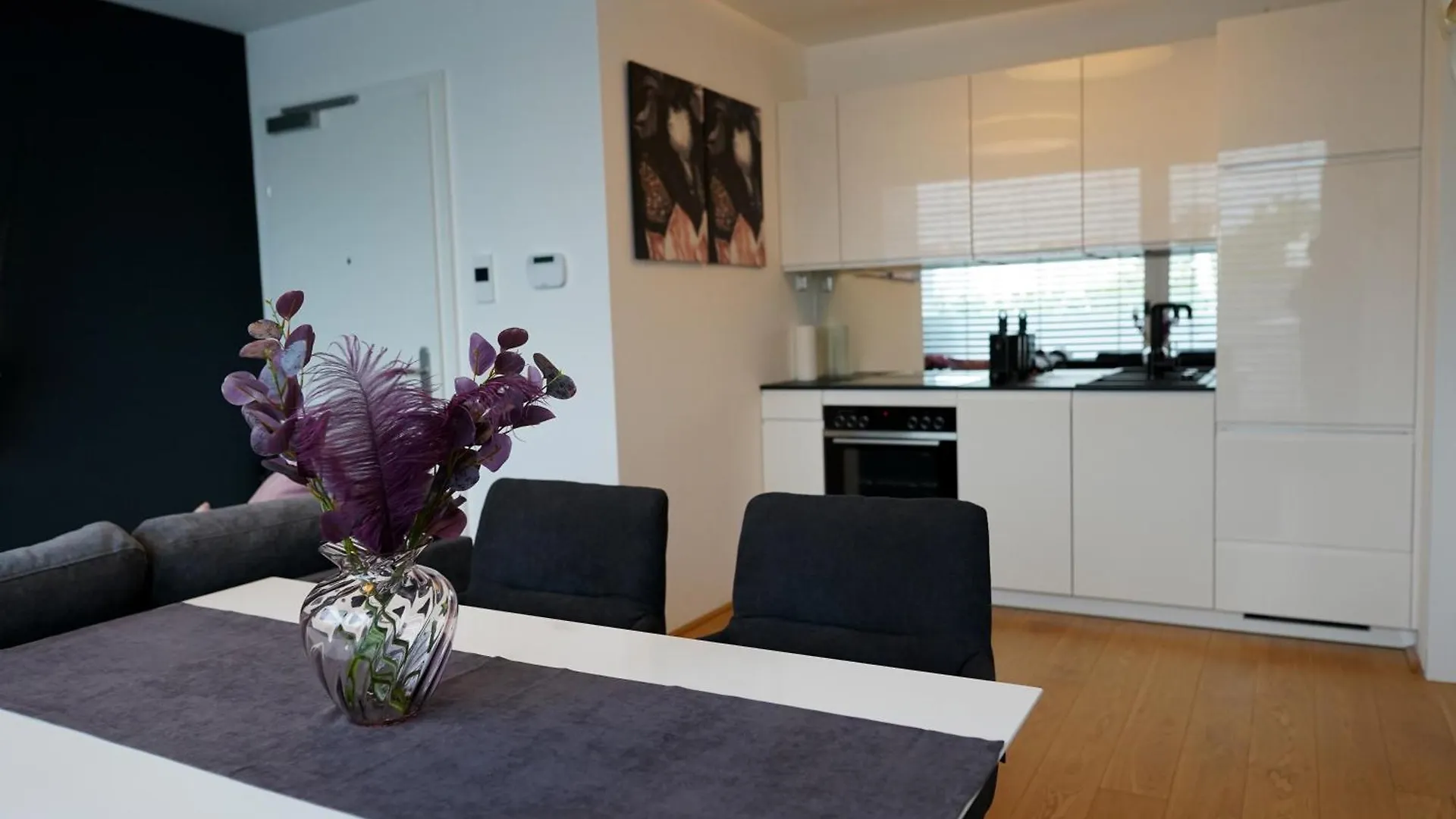 Modern Stylish Design Apartment With Free Parking Emily Viyana 0*,